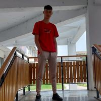 iamcavalerul1