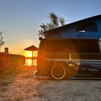 vwdogbus