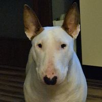 sylwiaczekm