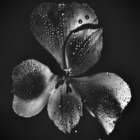 iovemuse2