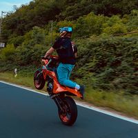 hammelwsd_official