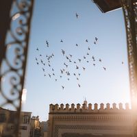 amalelmarzouki377