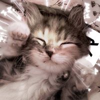 editeclipse_4