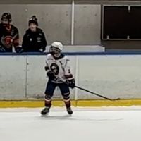 grischelino_21