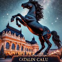 catalin.calu