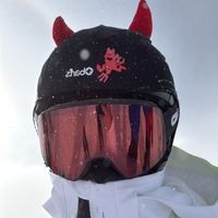 nicolas_shewillneverknow