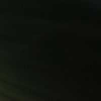 alo_501