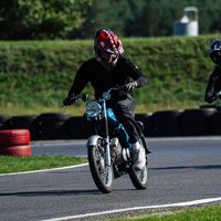 2strokeleeon
