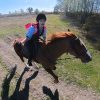 bellastasiaequestrian