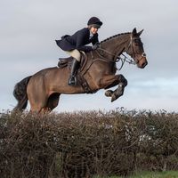 eviehall_sj