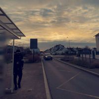 enzoyz44