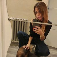 user04597340