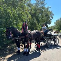gabrieldobre62