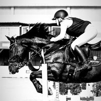 laura_kegel_horses