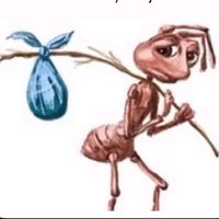 profenmaster