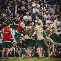laurapalmeiras