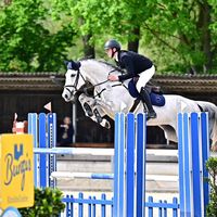 equestrian.timm