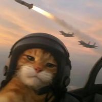 plane_spotter1