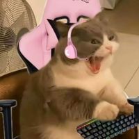 pixel_nus1
