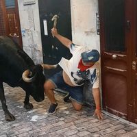 manu31209