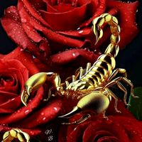 magic_skorpion