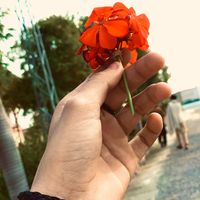 arshad444f
