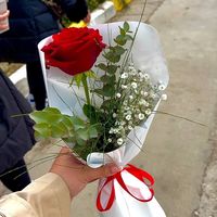 vanessza17_