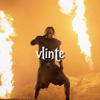 vlinte_