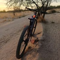 dari_540s
