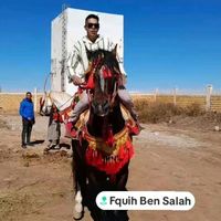 marocco1997252