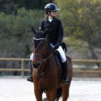 lavandin.jumping