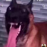leo.lhlr
