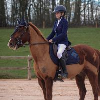 lilyrose.carpy