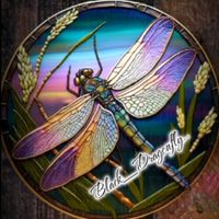 black_dragonfly0