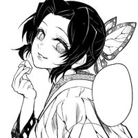 kimetsunoo