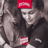 zedan_bremsenbremse