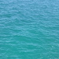 oceans._baby