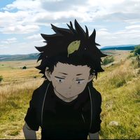swingjitzu