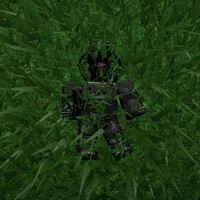 melon_rblx