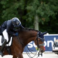 hkf_dressage