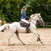 rn.equestrian