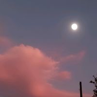 momentultau