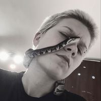 defekt_muzgo.0