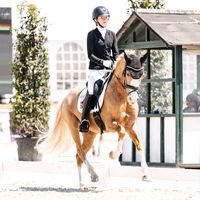 lena_dressage