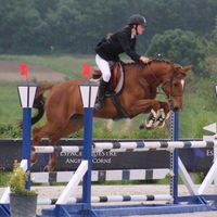 mathilde_equestrian12