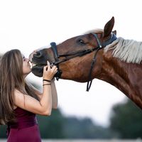 stini.equestrianlife