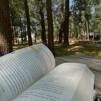bookswithmeer