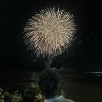 user223459017