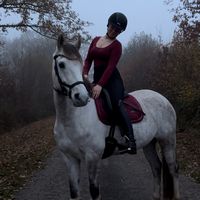 crazy_pony_calimero_