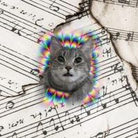 flash_music_